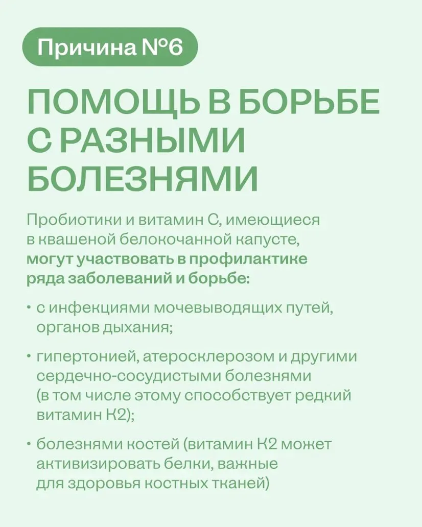 Квашеная капуста — это вау ✨  Не дайте котикам и собачкам с картинок себя обмануть: их кормить капус