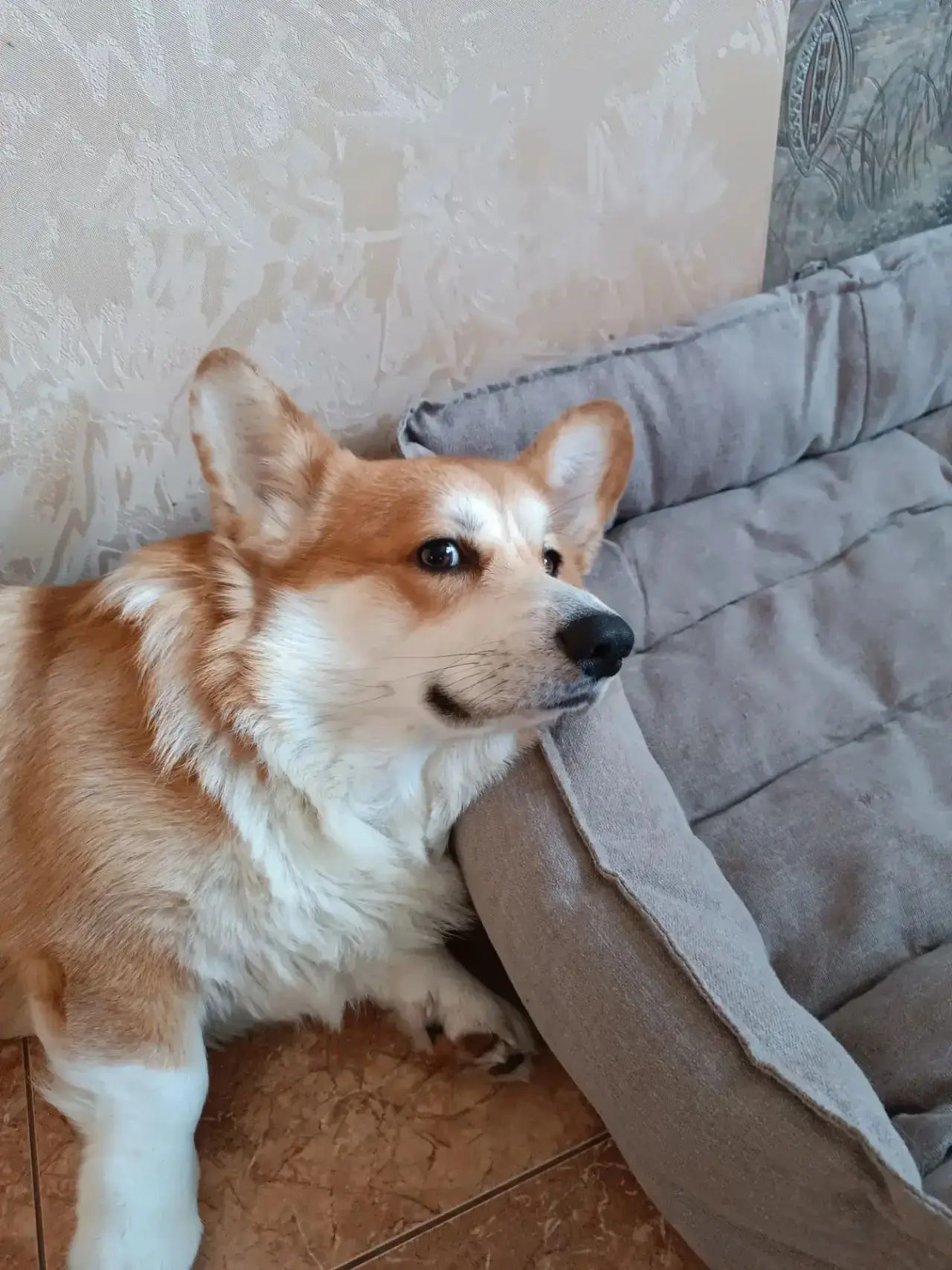 Персик 😍