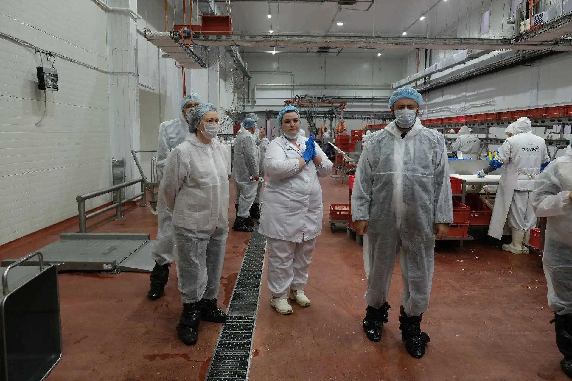 Свинокомплекс «Красноярский» — крупнейший производитель свинины в регионе — подвёл итог...