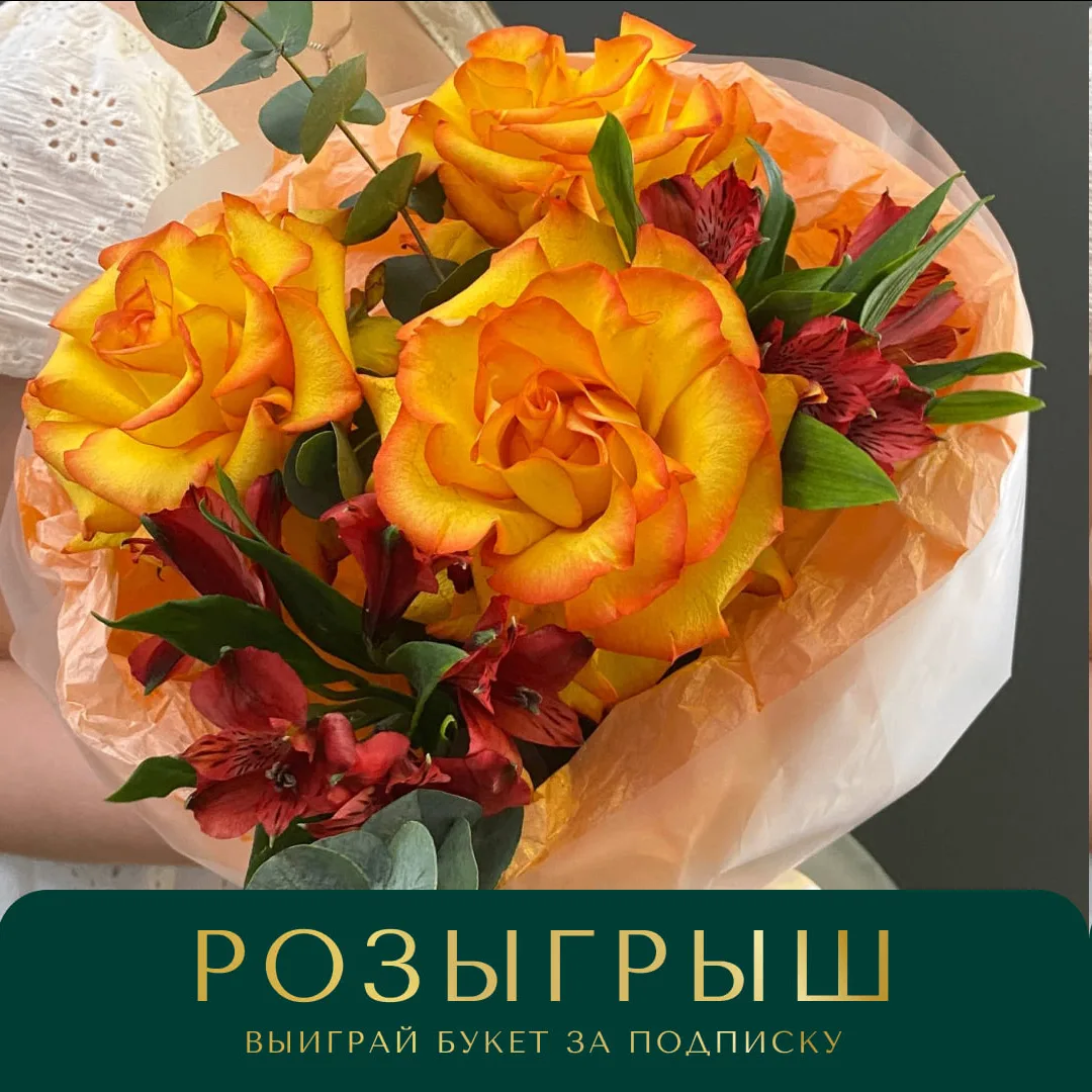 🎉 Результаты розыгрыша: