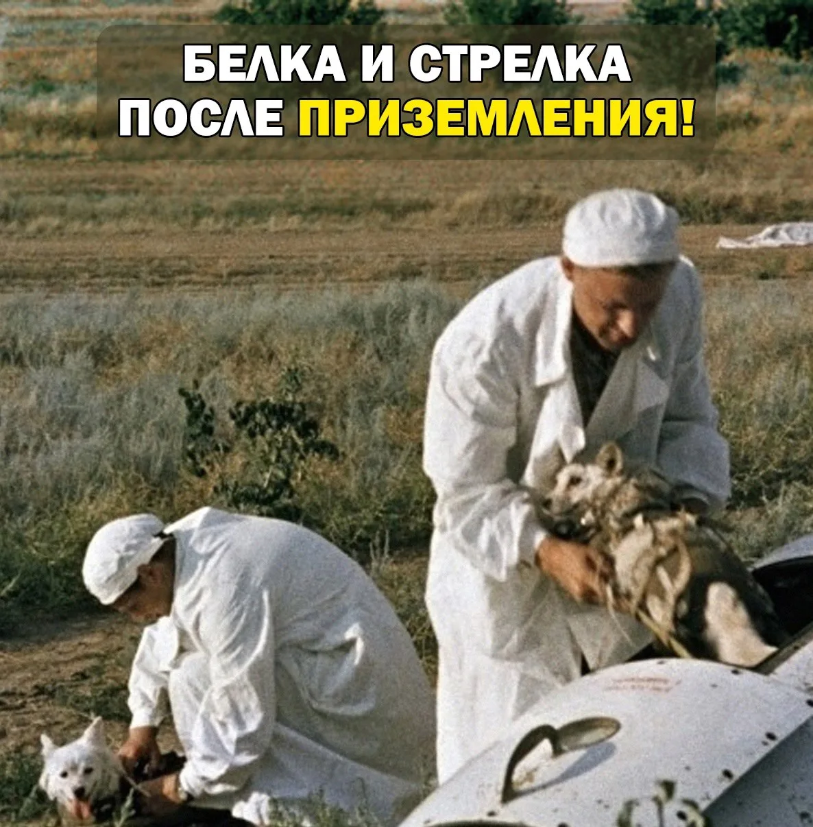 Очень полезная группа 👉 ТЕХНАРЬ