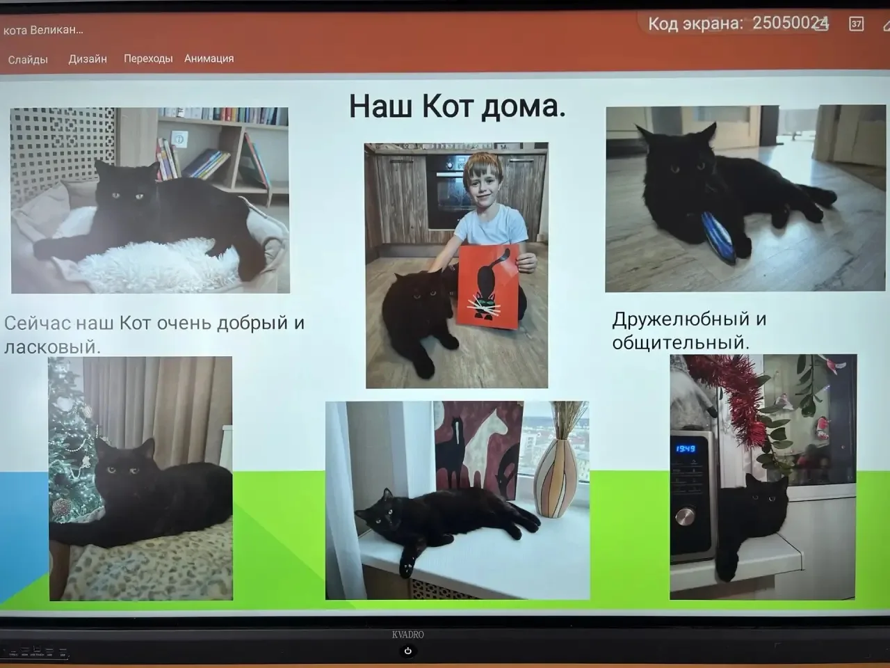 ❤️ Урок доброты в 1 «М» классе: встреча с нашими четвероногими (и не только!) друзьями ❤️   В первом