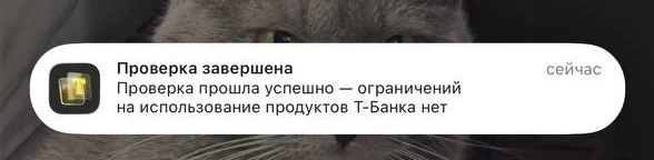 🚨 115-ФЗ: как я превратила стресс клиента в успешно закрытую проверку