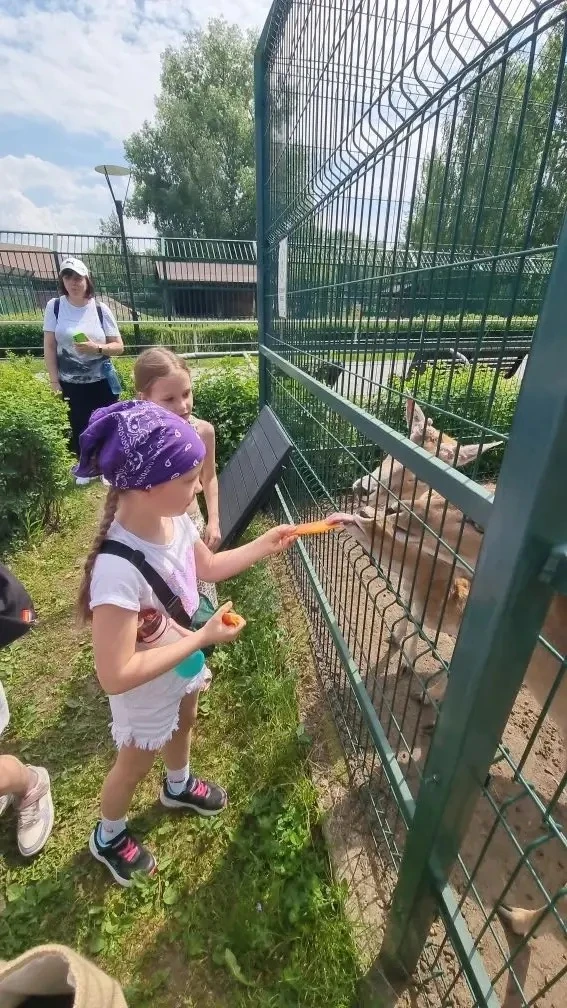 🌟🦒 УДИВИТЕЛЬНОЕ ПРИКЛЮЧЕНИЕ 3 «А»: ЭКСКУРСИЯ В ЗООПАРК! 🦜✨  В преддверии летних каникул ученики 3 «А