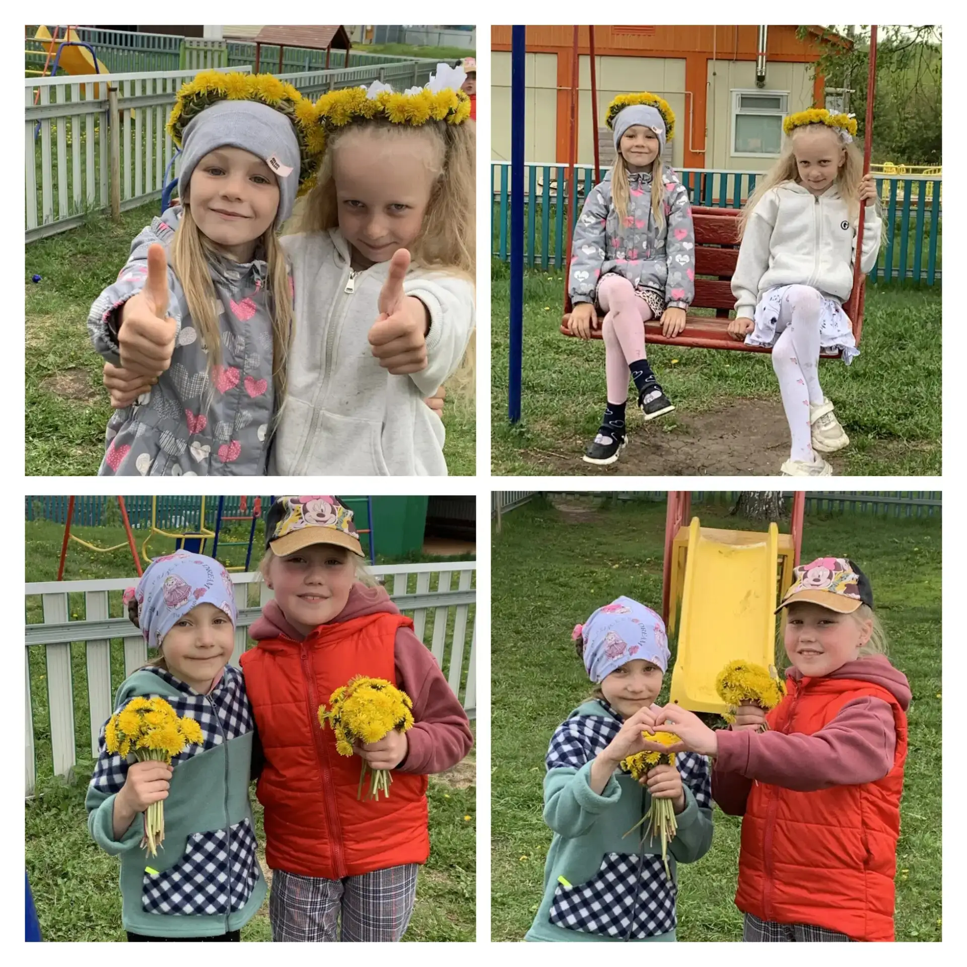 🌼🌼🌼Одуванчики цветы