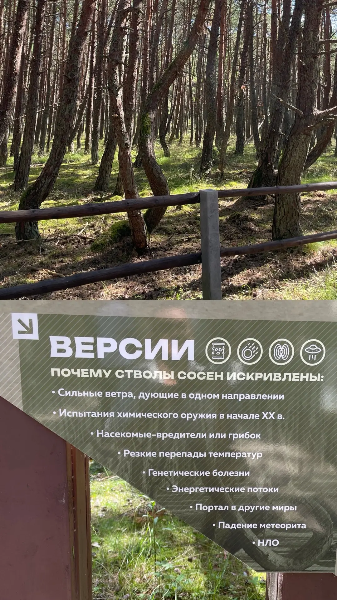 Ежегодный выезд с форум-группой 🔥