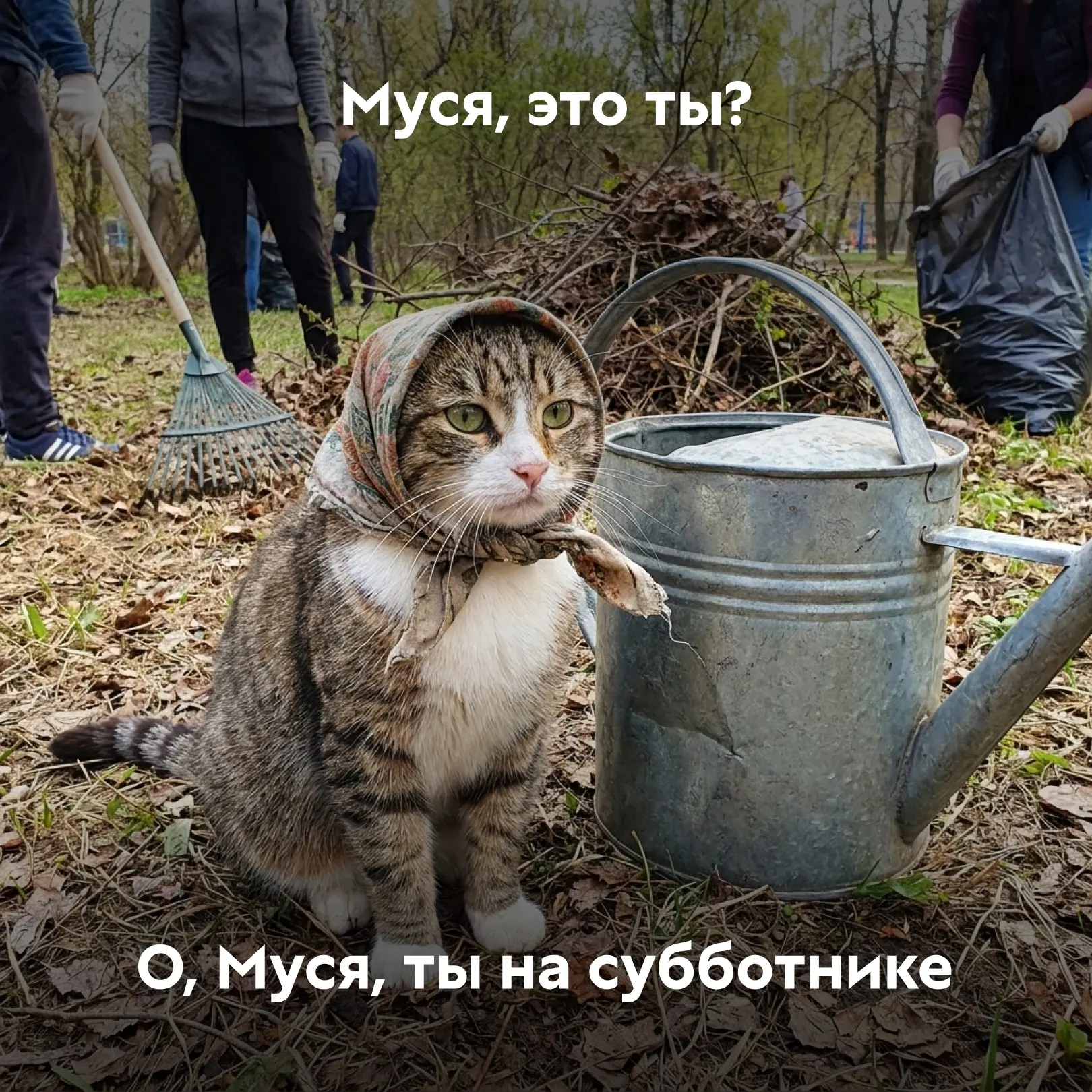 Помогите найти Мусю  Потому что мы не успеваем за ней следить! То она участвует в грантовом конкурсе