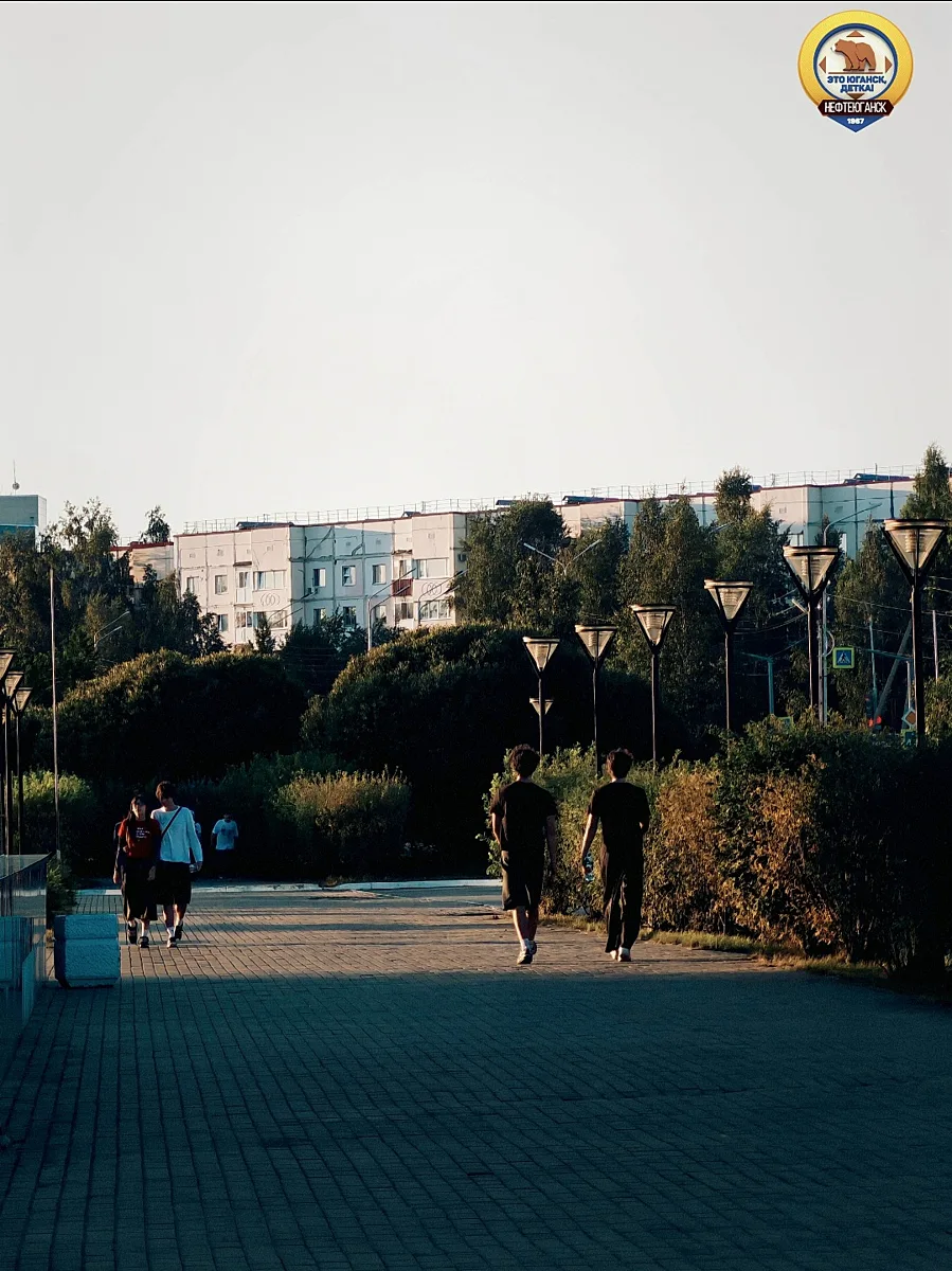 Краски уходящего дня✨