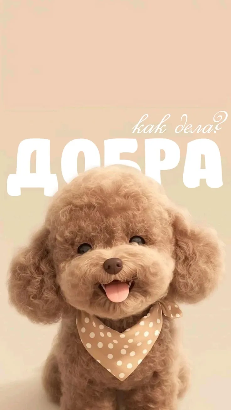 https://max.ru/se13912156_biz