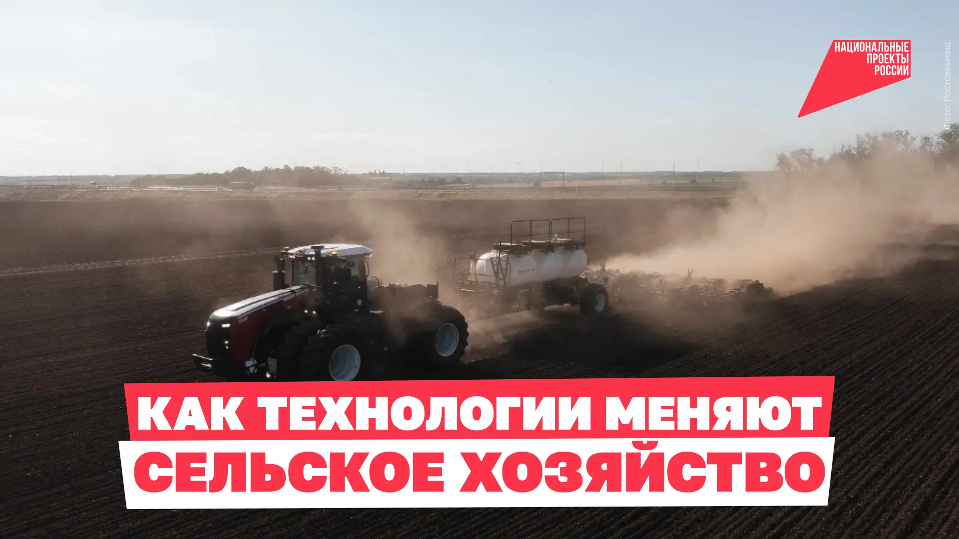 🌾 Как нейросети помогают растить пшеницу