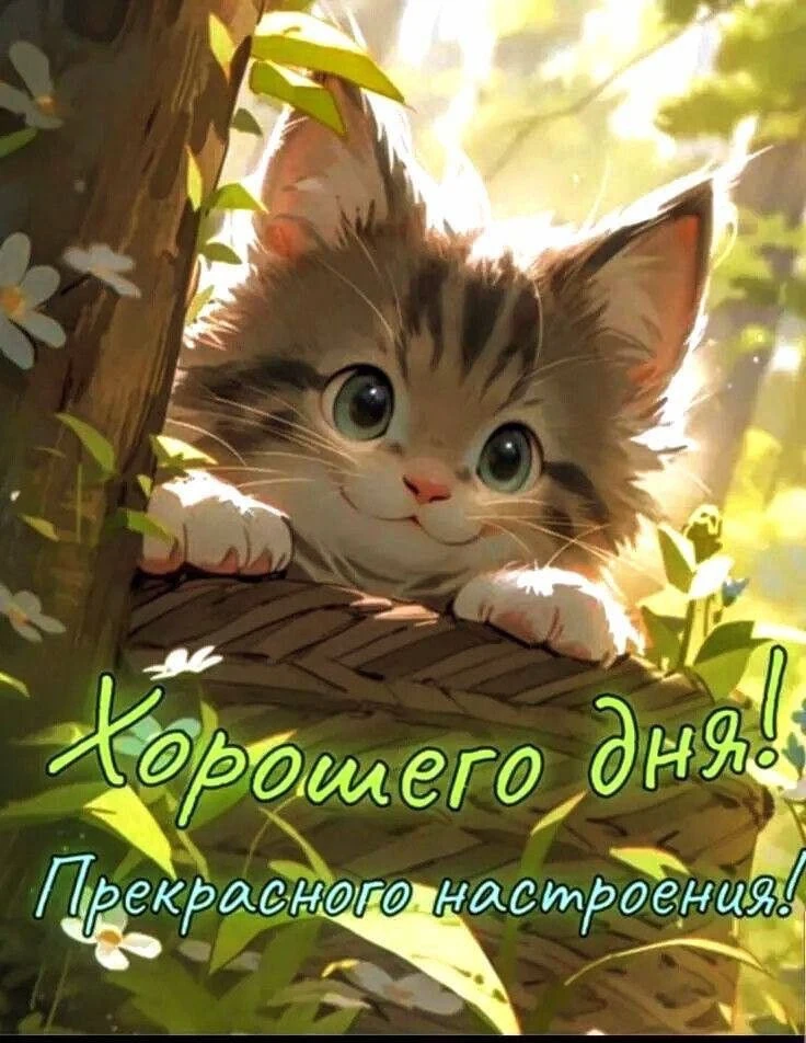 Красивые открытки❤️