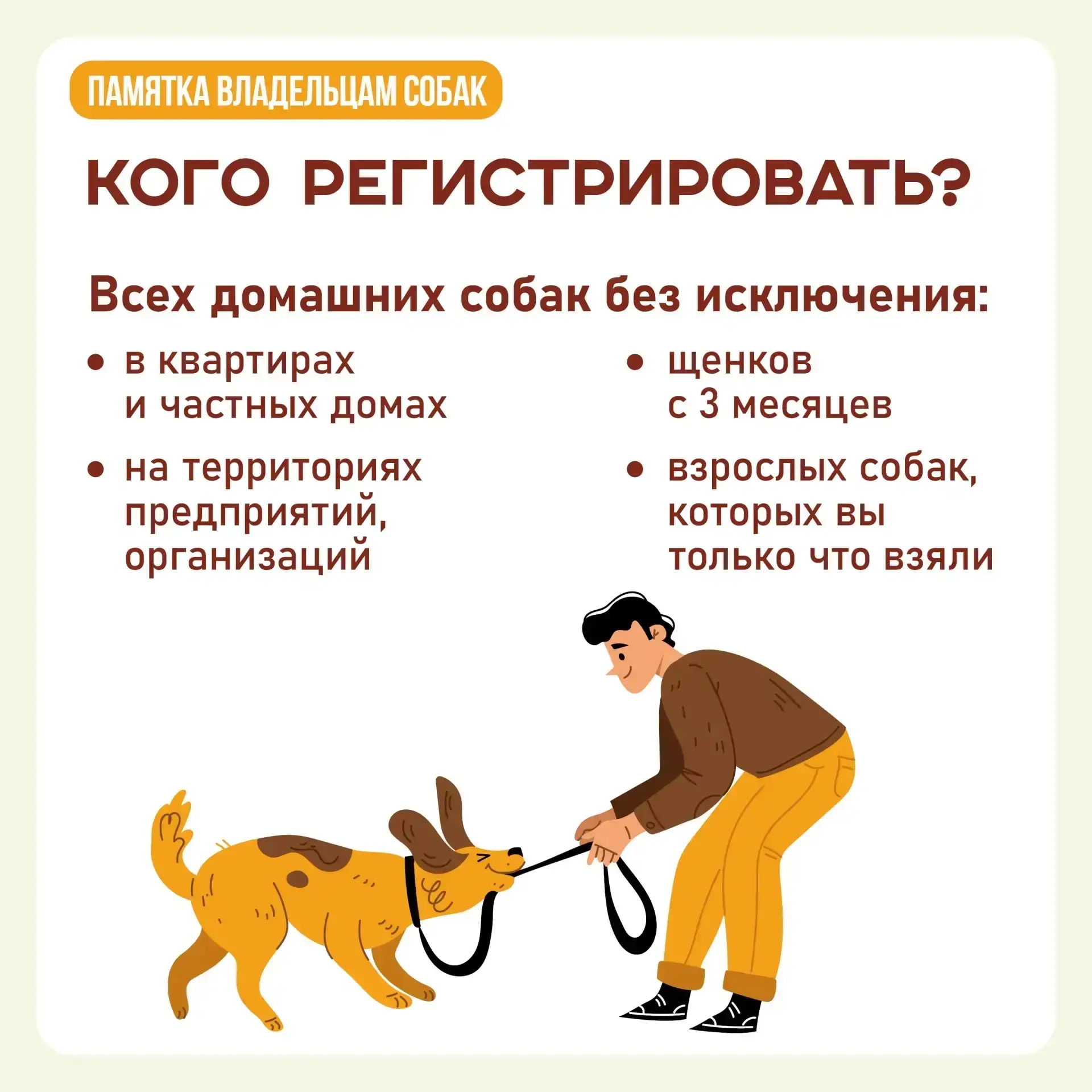 А у вас дома живет собака? Тогда вам нужно ее зарегистрировать!  ‼️Процедура обязательна вне зависим