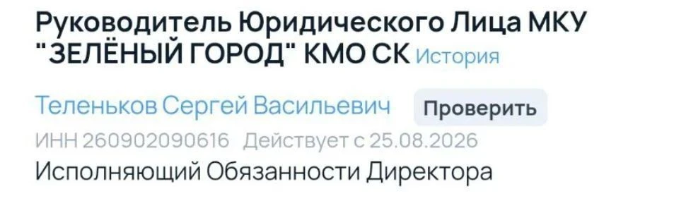 🤯 Кадровый зигзаг Новопашина: новый директор «Зелёного города» — фигурант уголовного дела
