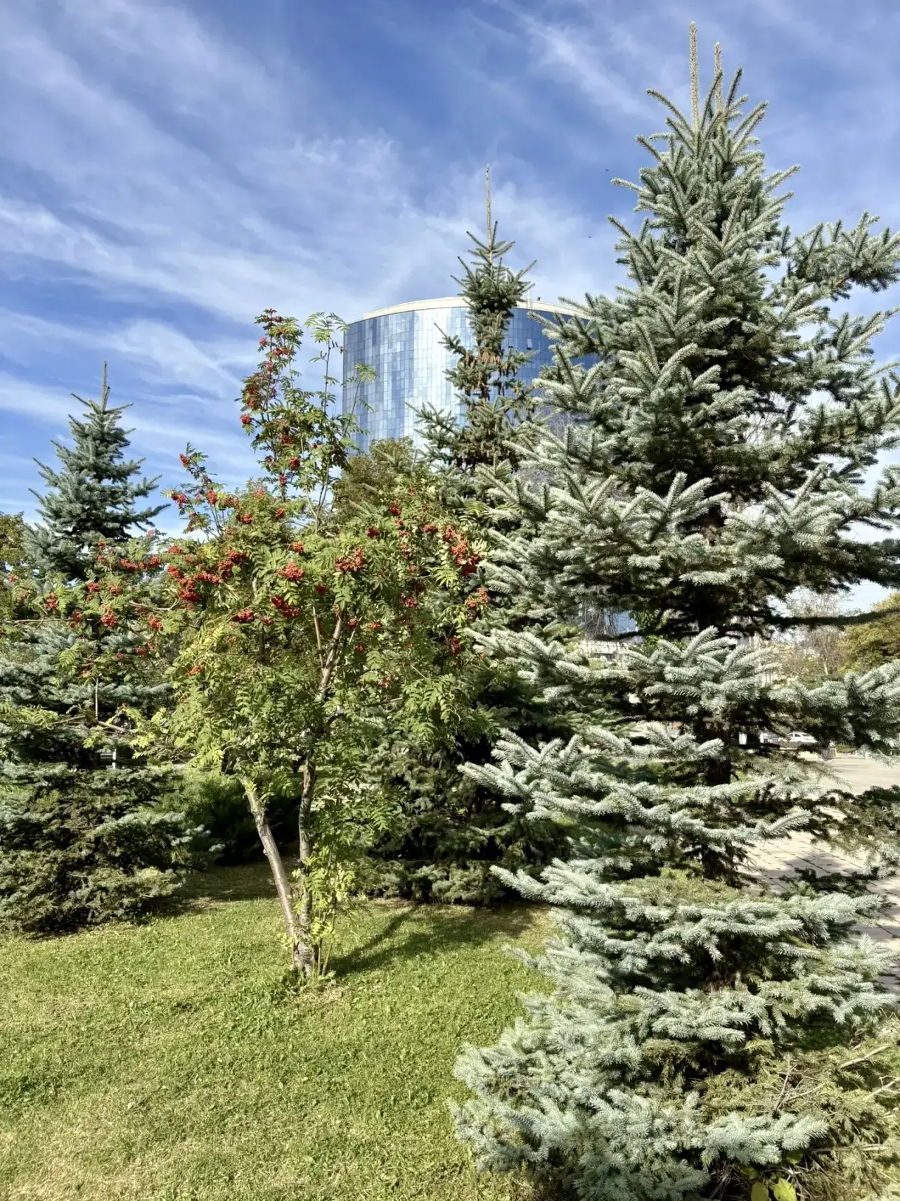 Доброе утро☀️
