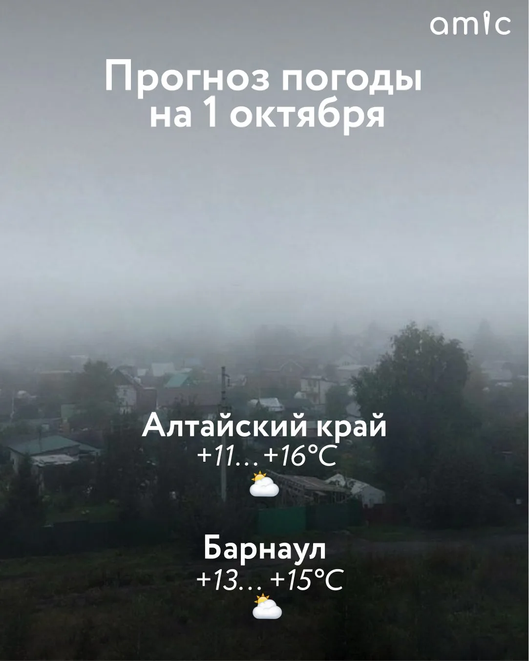 Преимущественно без осадков и утренний туман. Какая погода ждет Алтайский край 1 октября
