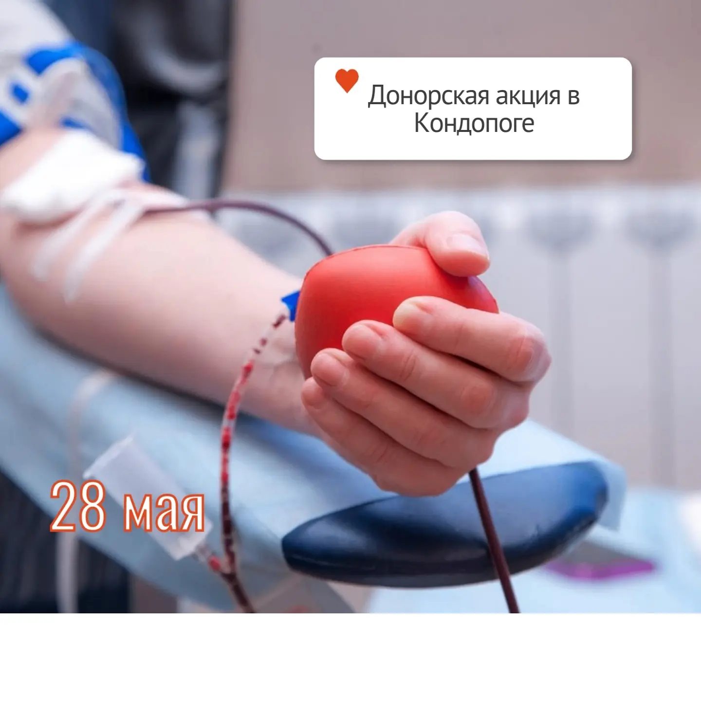 28 мая на базе Кондопожской центральной районной больницы пройдет донорская акция