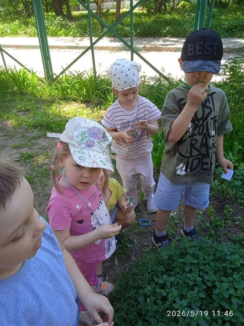 Сегодня ребята средней группы во время прогулки знакомились с растениями на своей клумбе. Арсений вс