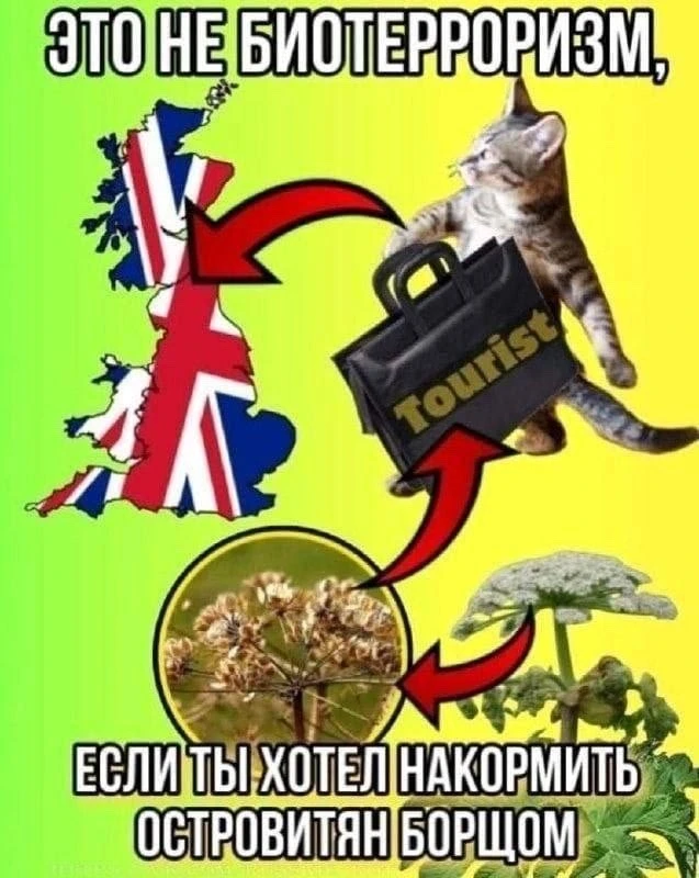 🎭Ван Гог • Мемы

👉 Наши каналы. Подписаться.