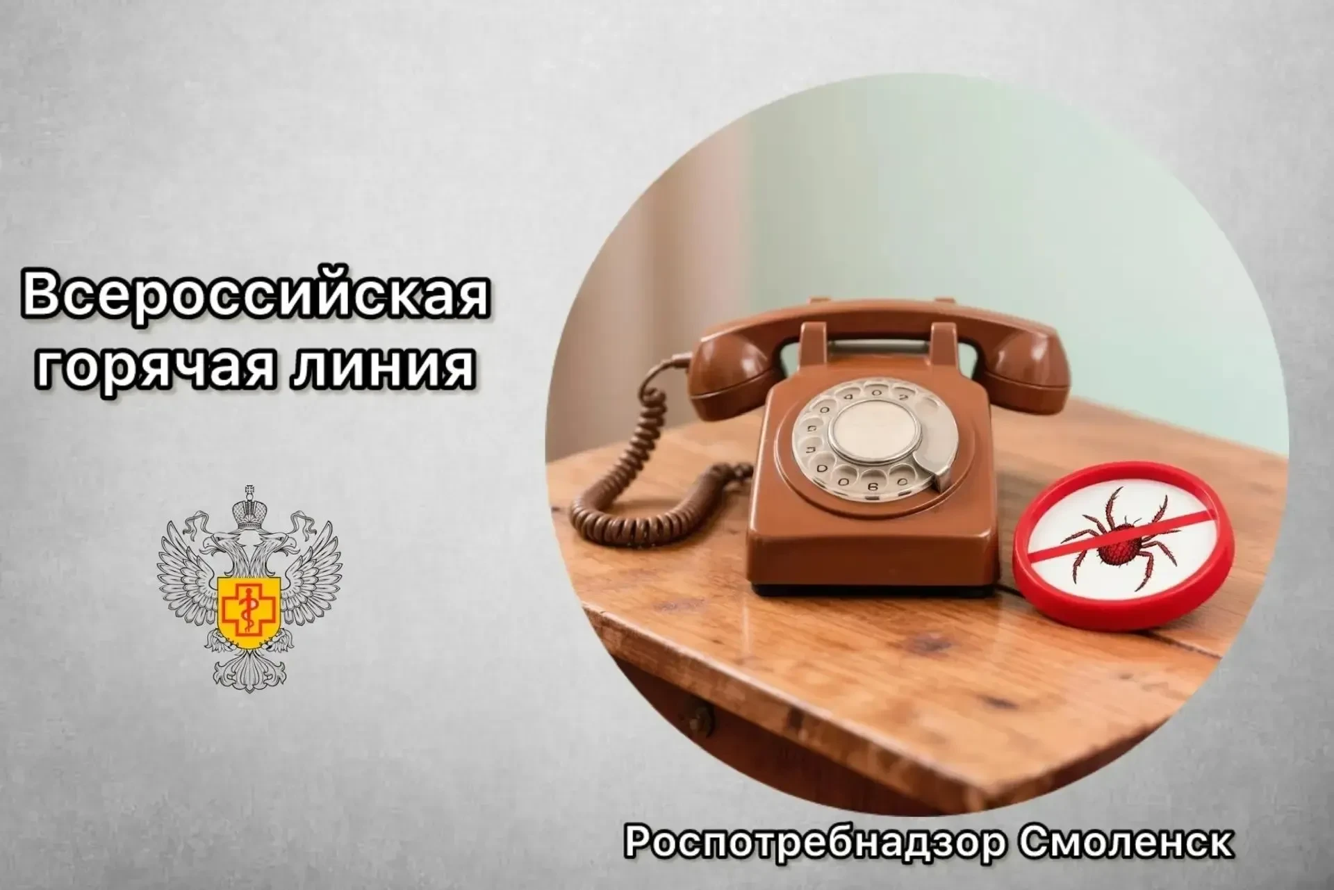 ☎️Всероссийская «горячая линия» по вопросам профилактики клещевого энцефалита и других ...
