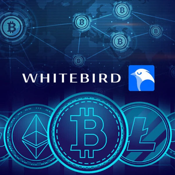 ❤️ Antarctic Wallet — первый лицензированный QR-криптокошелёк с аудиторией 100 тыс. пол...