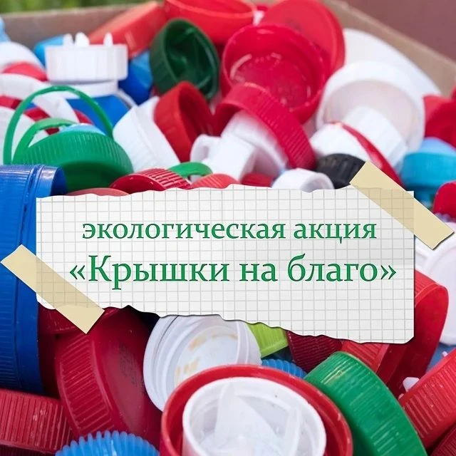 Снова в школу! И сразу к добрым делам 📚❤️