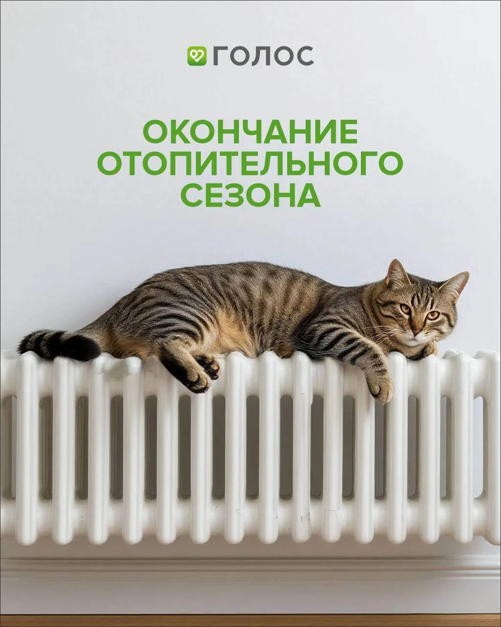 📢 Для Челябинска: