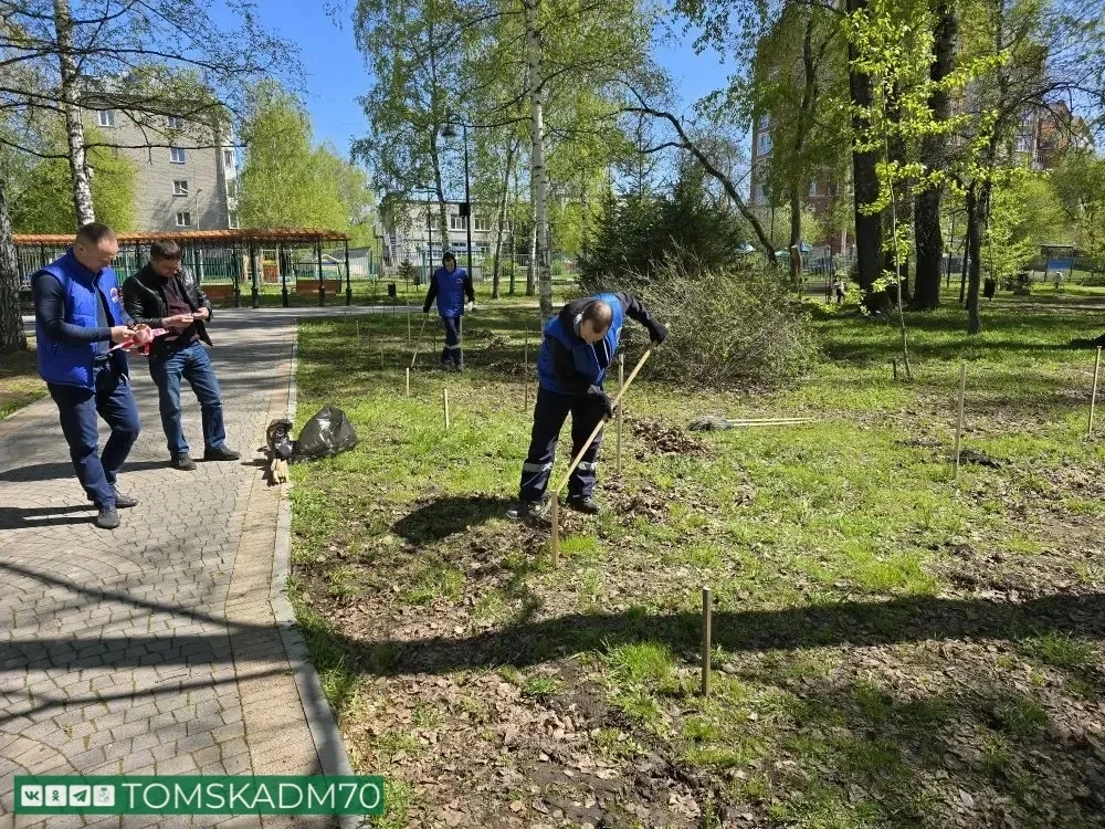 🌳В Буфф-саду появятся яблони и гортензии