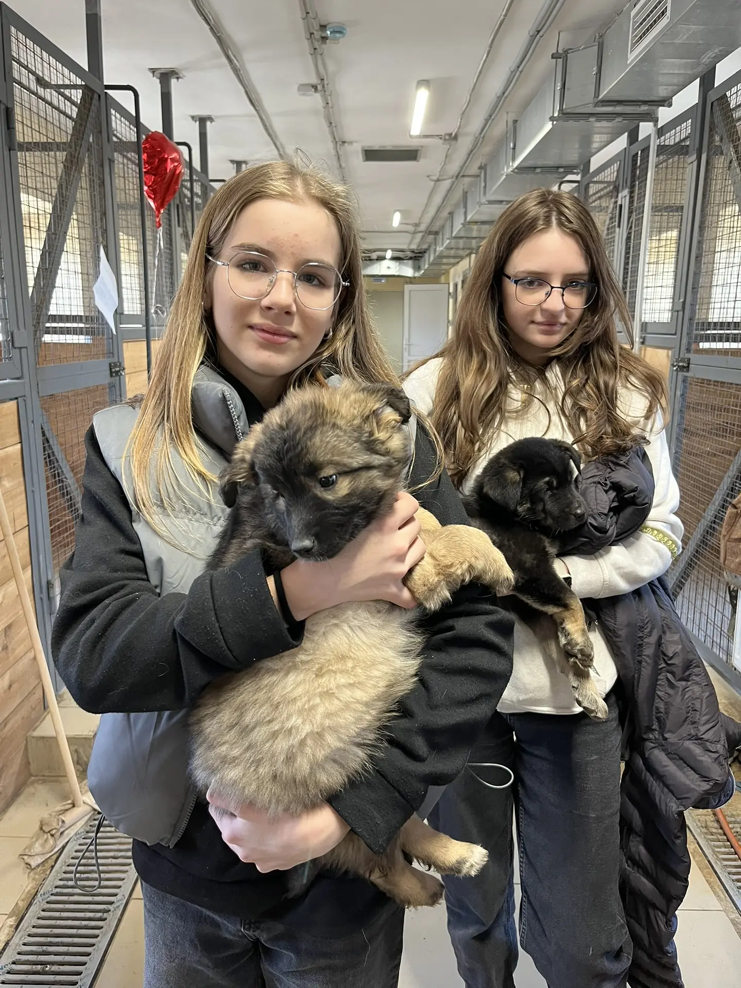 🐕‍🦺 Уроки доброты от 6Г класса.  Друзья, хотим поделиться невероятным опытом! Наш 6Г класс побывал в