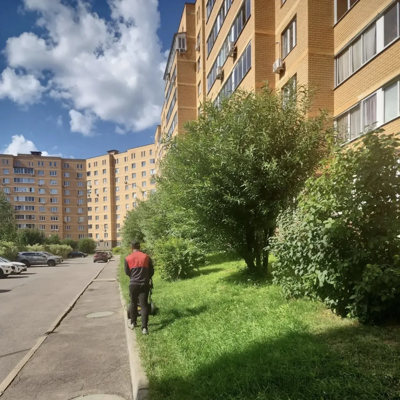 Июль: Отчет о проделанной работе