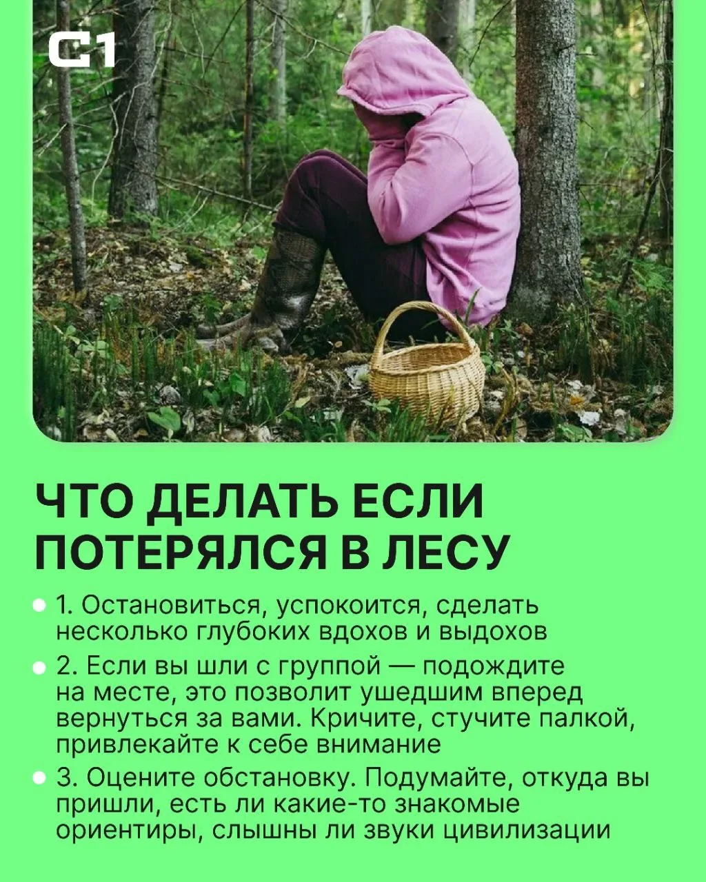 90-летняя пенсионерка заблудилась вечером в пятницу в лесу под Ясногом. К счастью, эта ...