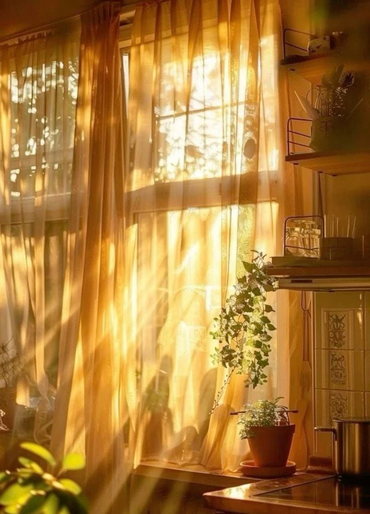 Good morning ☀️