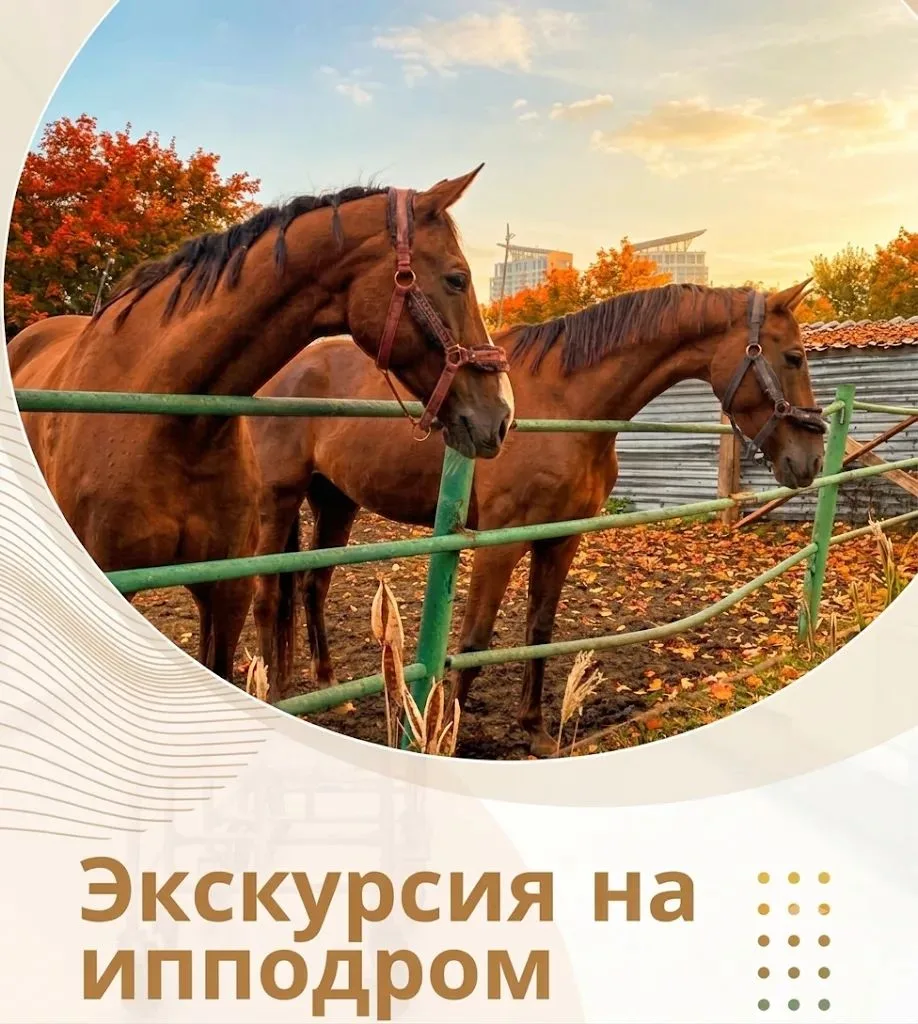🐴Экскурсия на Красноярский ипподром - это возможность не только погладить и покормить ...