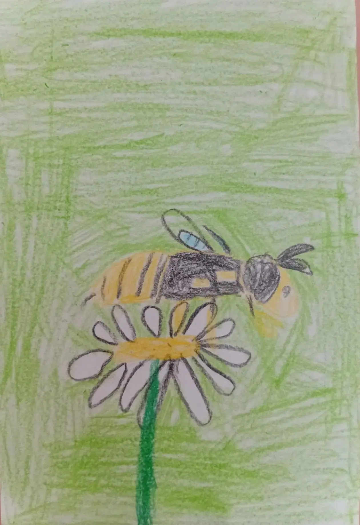 🌞 Июль — время солнца, прогулок и... маленьких соседей! 🐝Наша летняя смена, посвящённая безопаснос