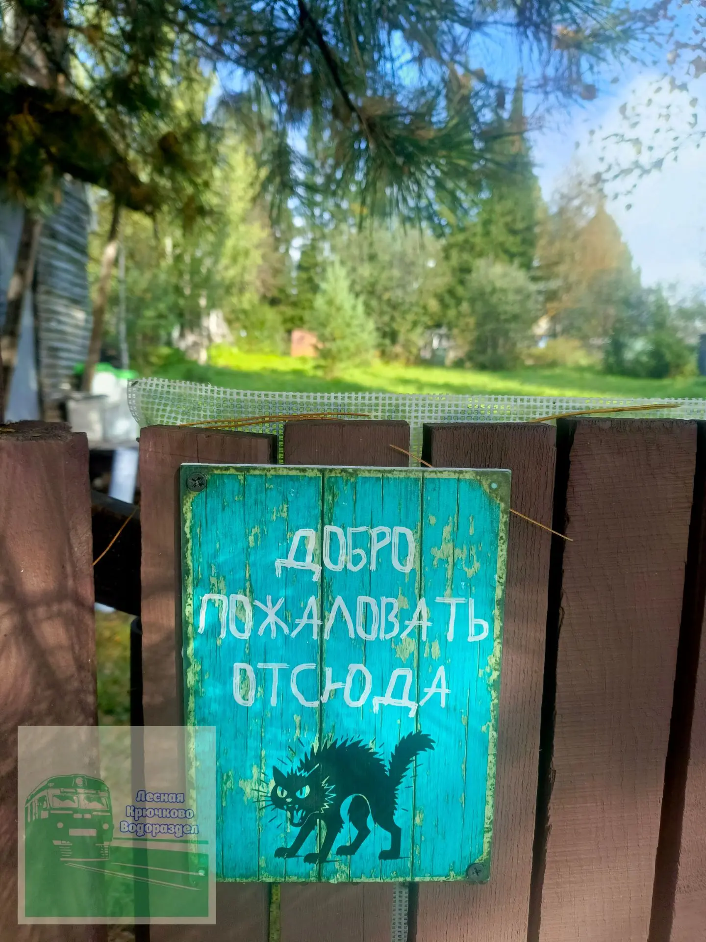 🛑 ВНИМАНИЕ, ВАЖНОЕ СООБЩЕНИЕ!