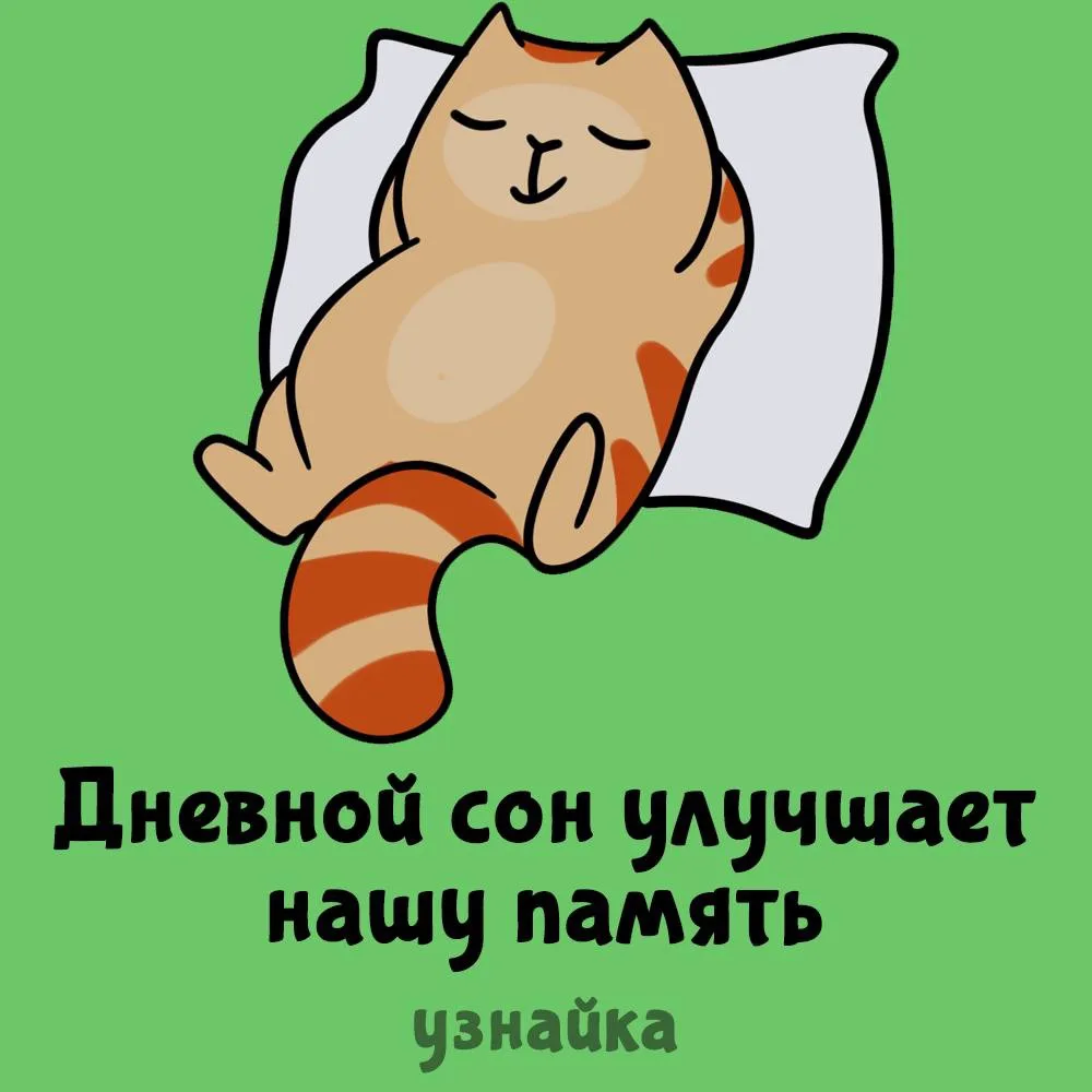 Та можно даже ночью не ложиться😁