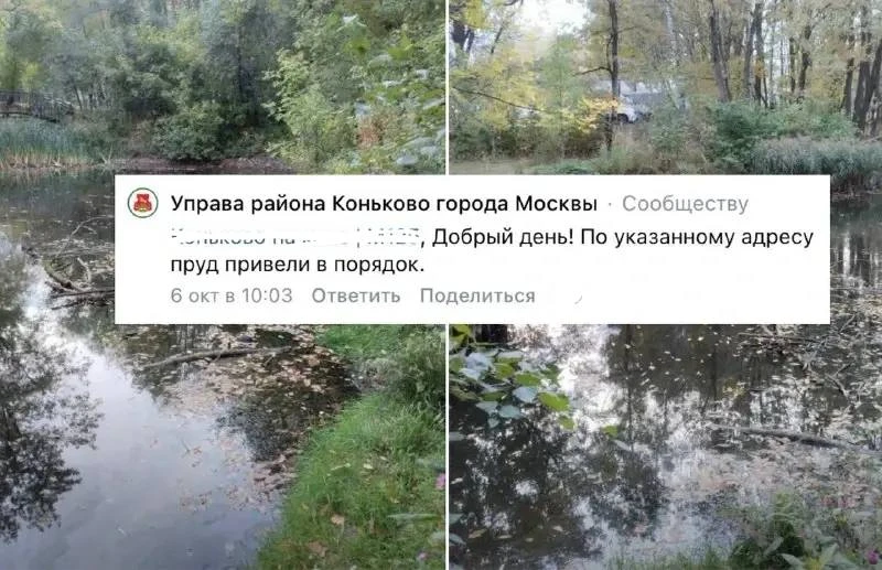🐸 Пруд на Островитянова снова чистый