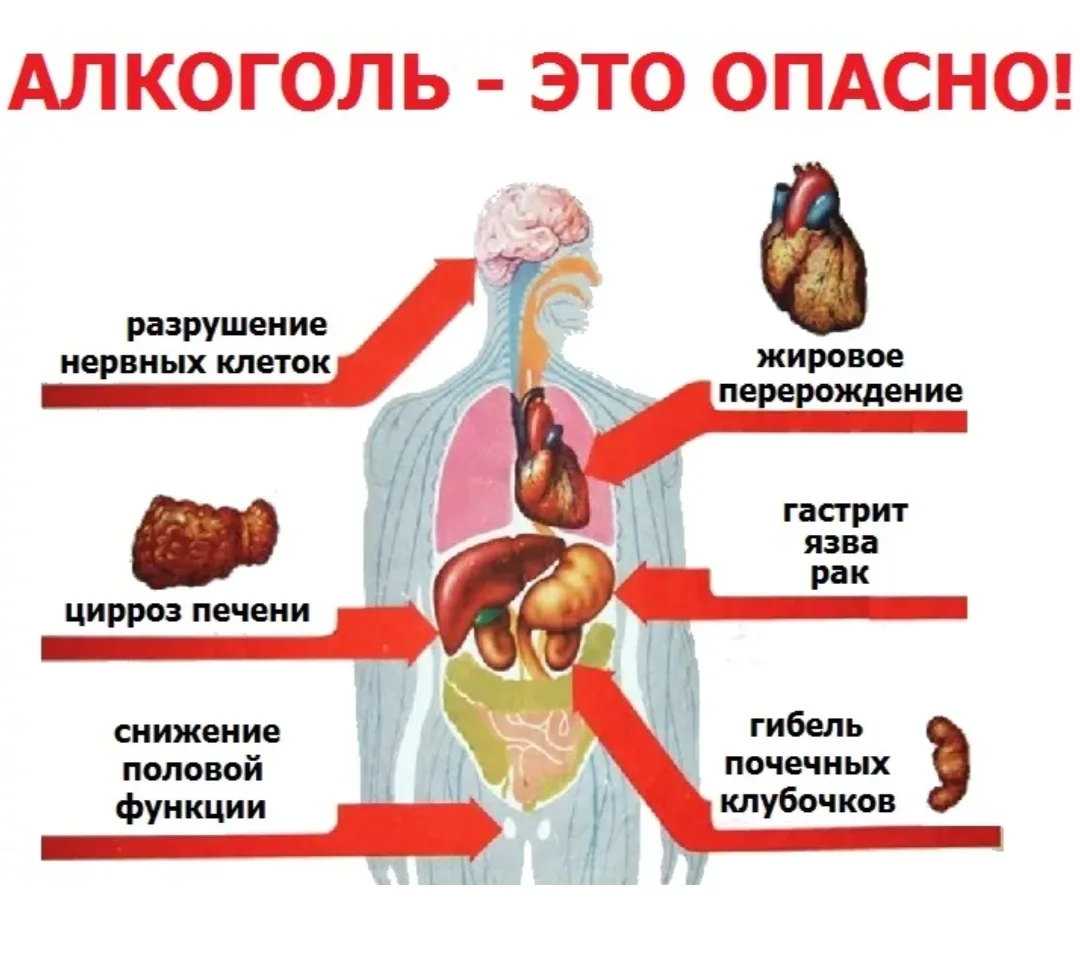 Отказался от алкоголя -и чувствуешь себя отлично!!!