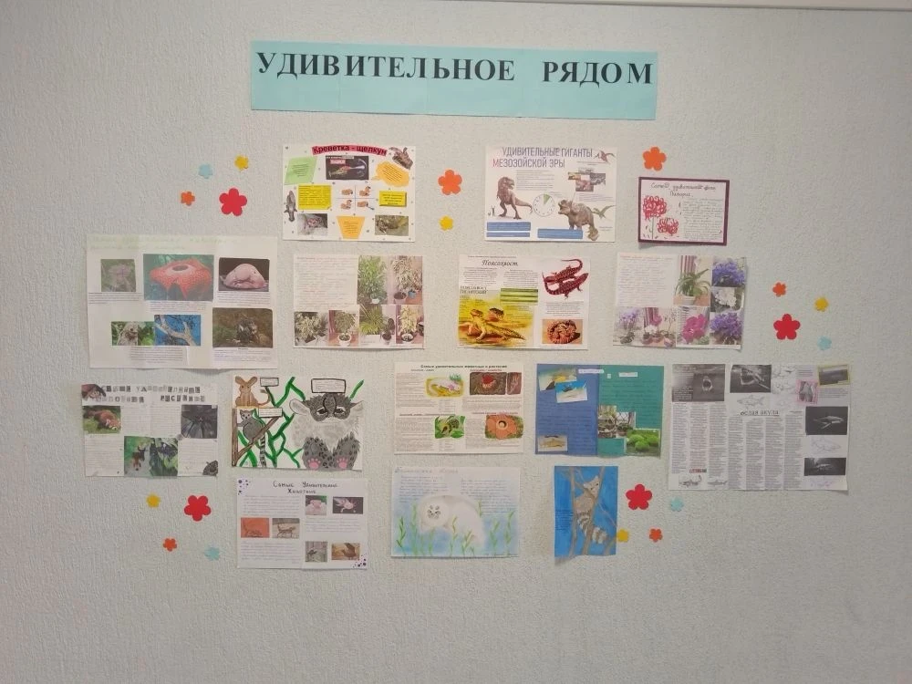 🖼️🎉Итоги конкурса рисунков «Самые удивительные животные и растения нашей планеты» в рамках предметно