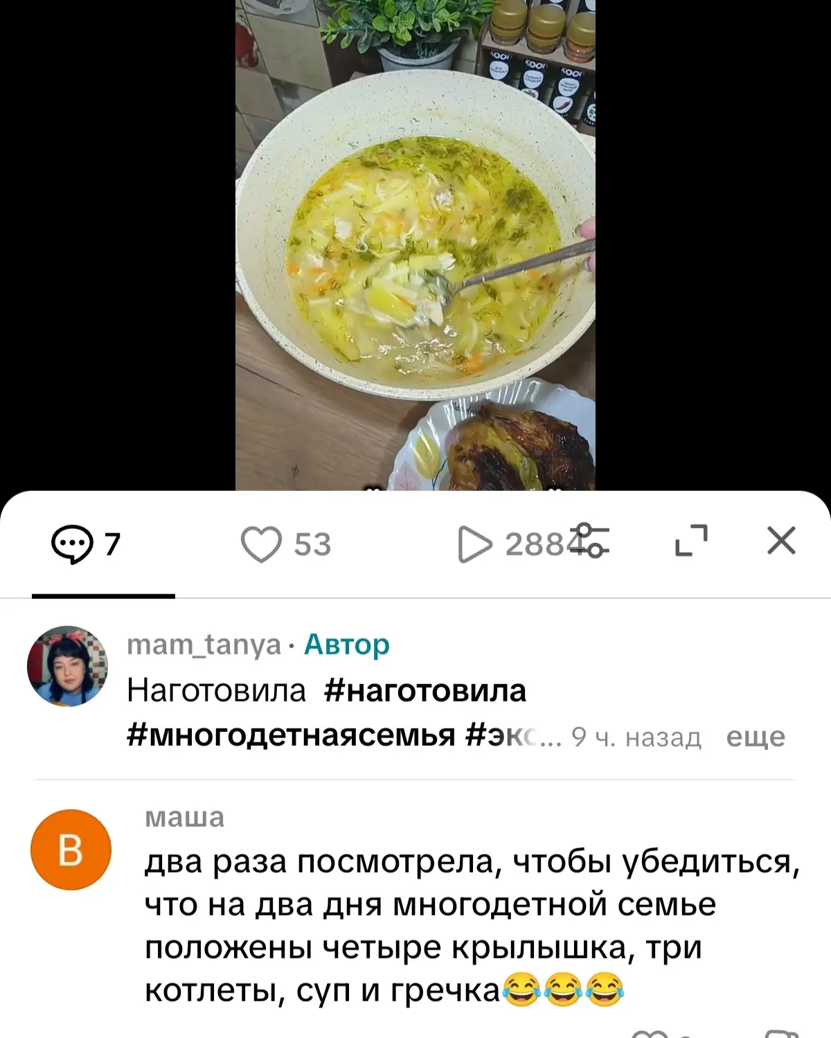 У меня в тик токе появились хейтеры, одна особа считает что мол мало готовлю для многод...