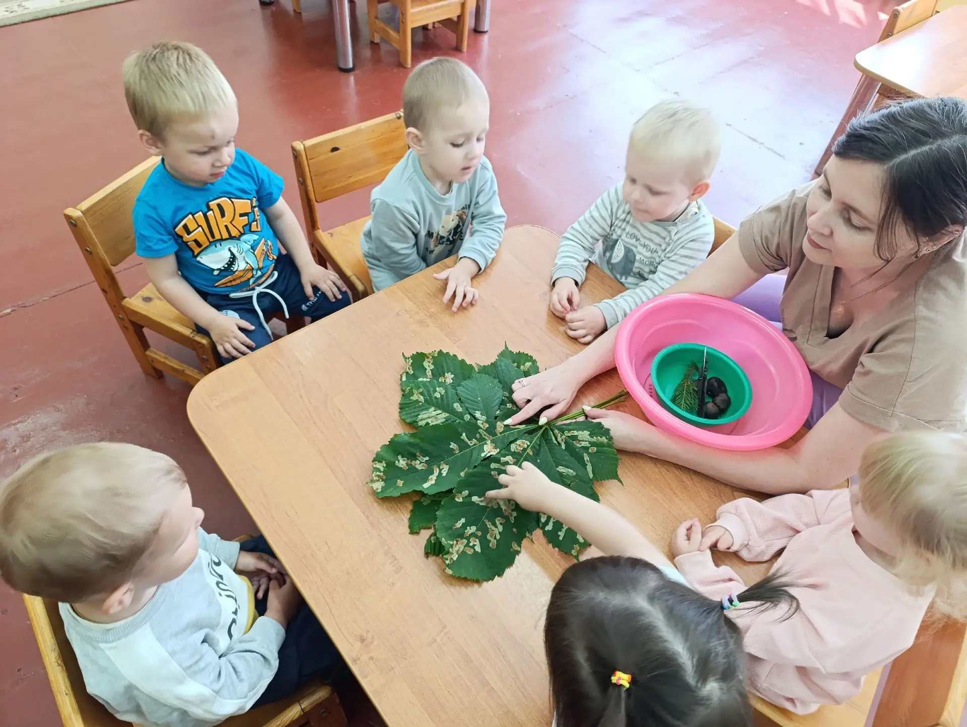 Лето, время года богатое зеленью 🌱