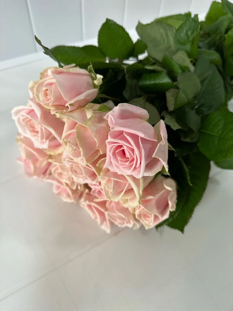 Свежие розы по особенной цене — вот Наша новость дня! 💐
Представляем букет из 29 нежно-ароматных ро