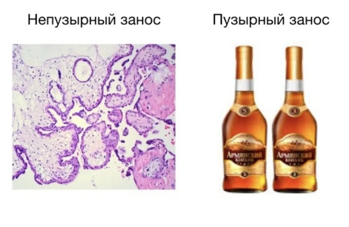 Котики, поздравляю всех с началом конца😈! Вы все молодцы! Всем удачи и терпения!🤗
