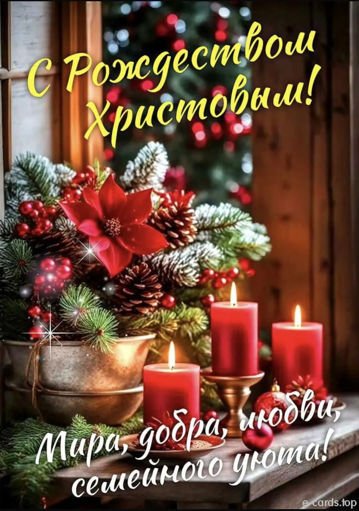 Дорогие коллеги, дети, родители и гости нашего сообщества!