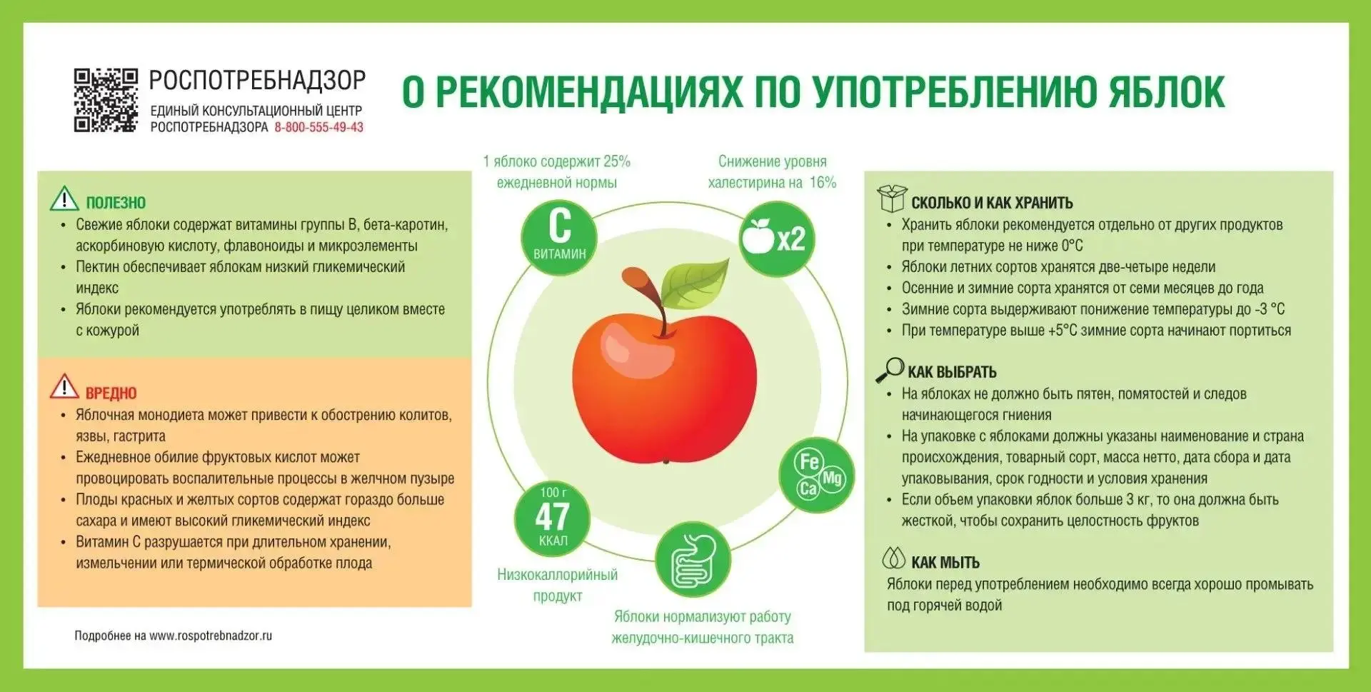 19 августа - Яблочный спас