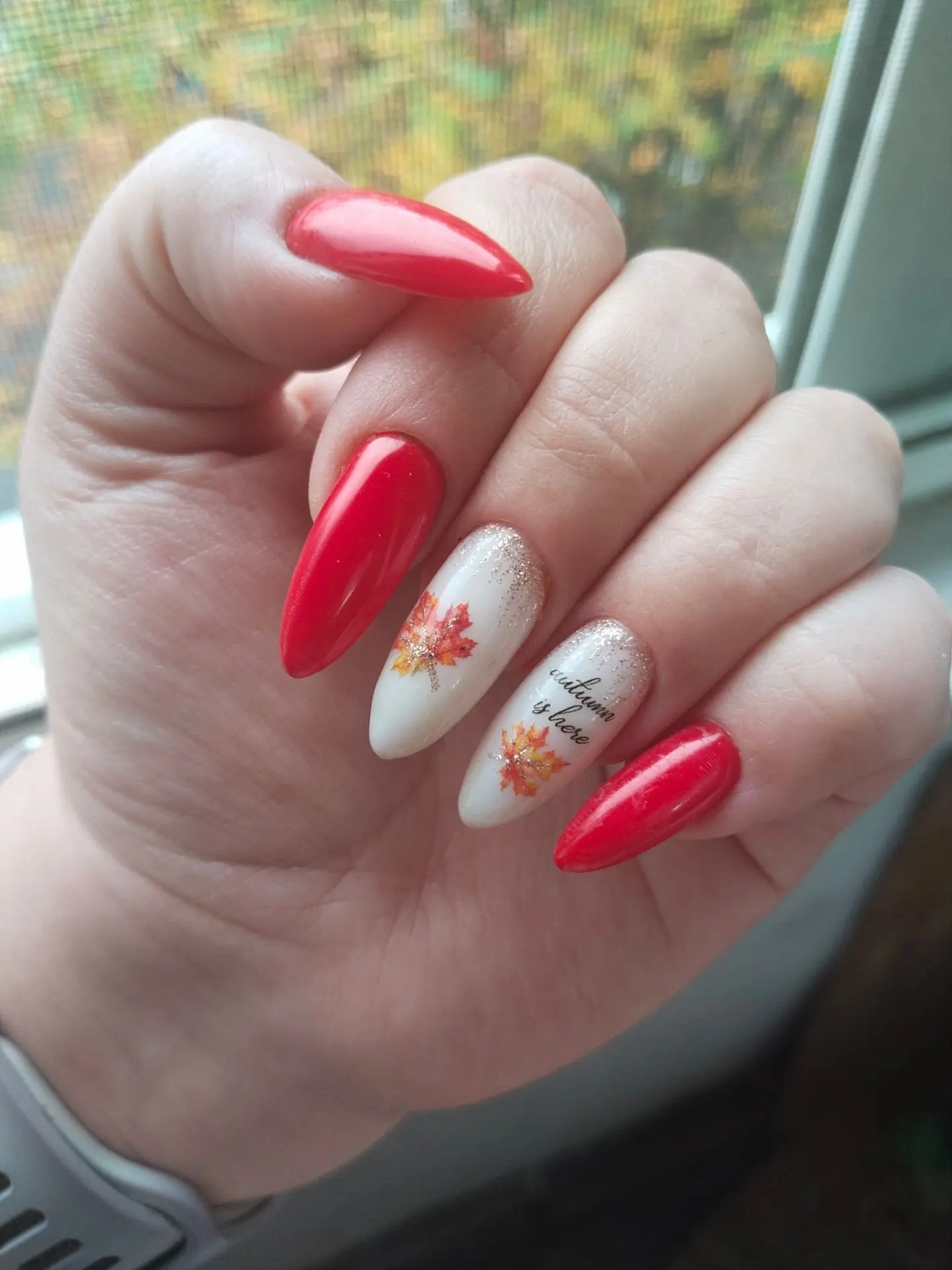Просто не могу на них налюбоваться. Красотаааа😍😍😍