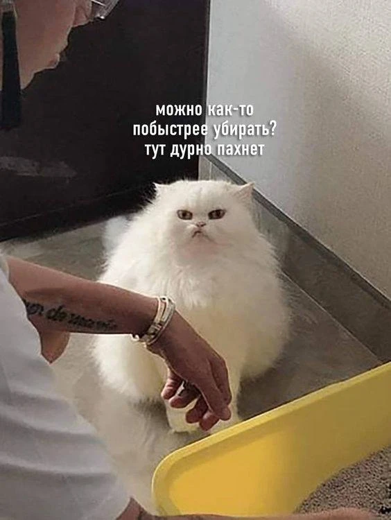 😁😁