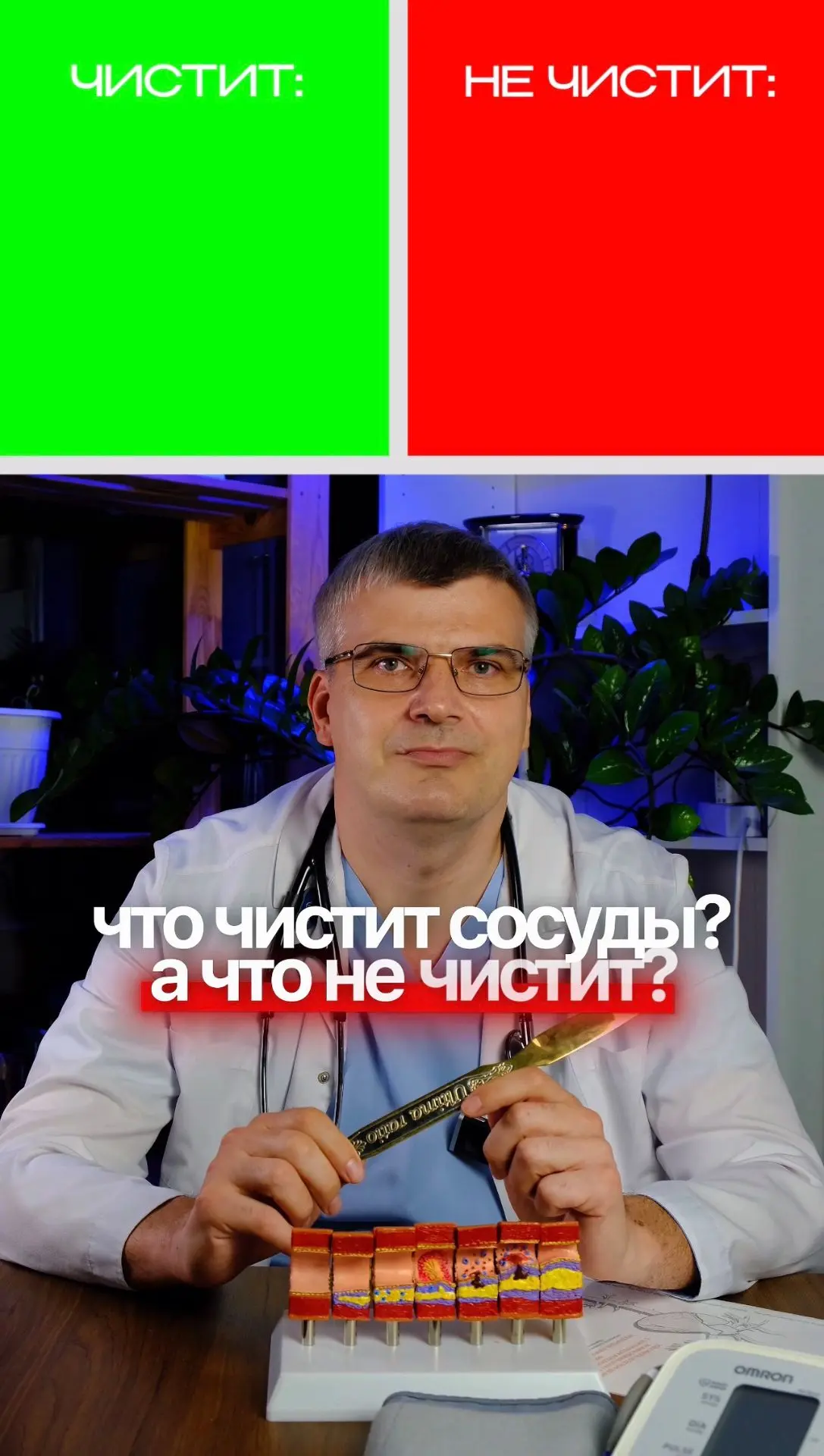 Главный миф о сосудах: их можно «почистить» ❌

Не ведитесь на маркетинговые уловки и народные рецепт