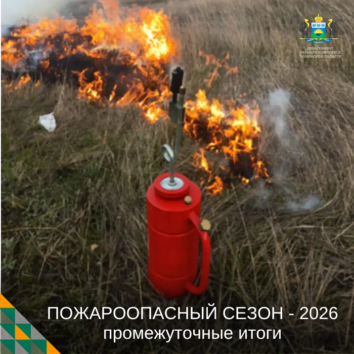 🔥 Промежуточные итоги пожсезона — 2026

С начала пожароопасного сезона в регионе ликвидировано 55 л
