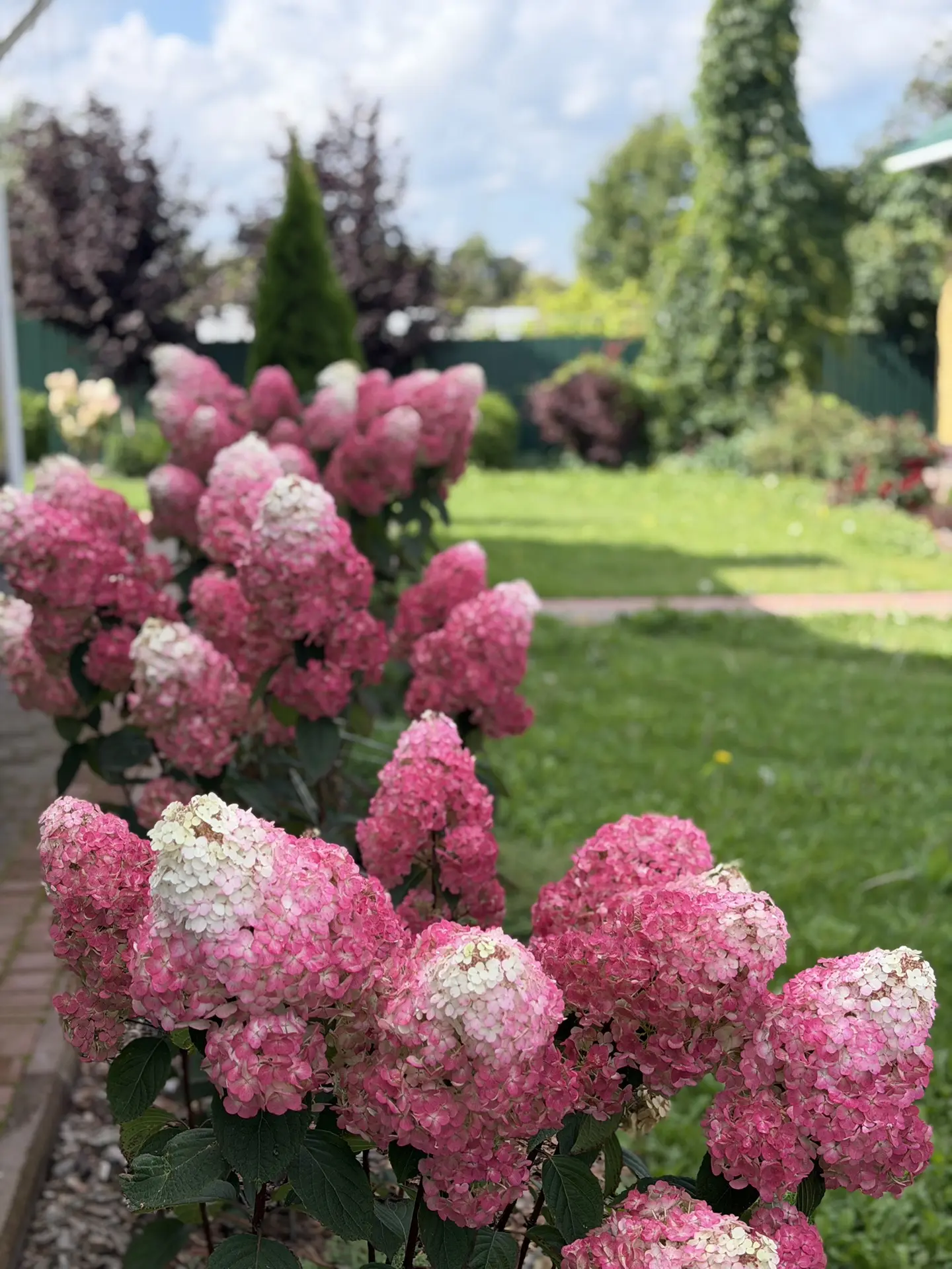 Доброе утро, дорогие девушки 💖