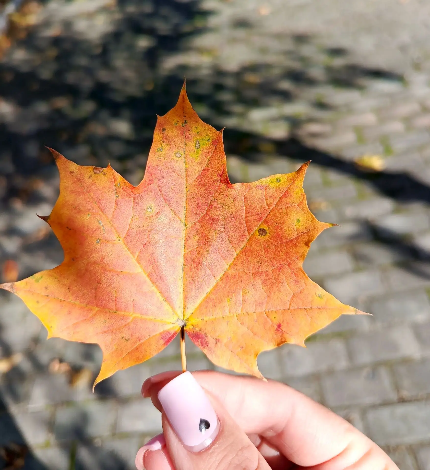 🍂 Привет, октябрь! 🍁